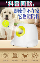 Load image into Gallery viewer, Dog pet toys Tennis Launcher Automatic throwing machine pet Ball throw device Section emission with 3 balls
